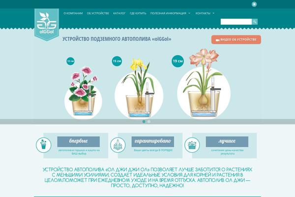 olggol.ru site used Olggol