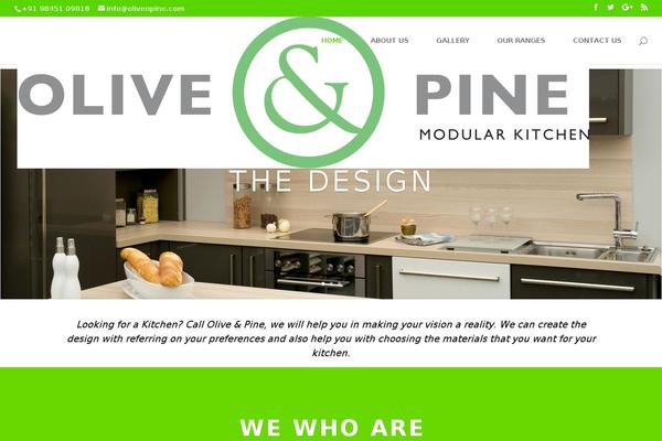 Divi-master theme site design template sample