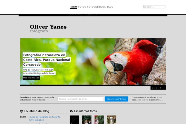 oliveryanes.com site used Echeide-child