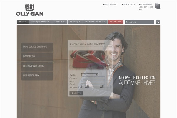 ollygan theme websites examples