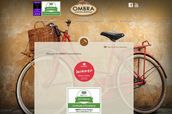 Ombra theme websites examples