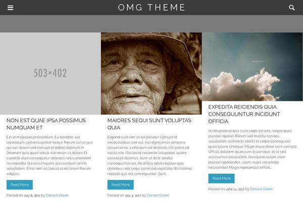 WordPress website example screenshot