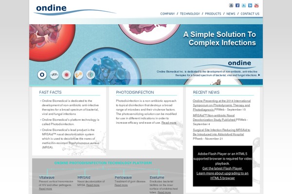 ondine theme websites examples