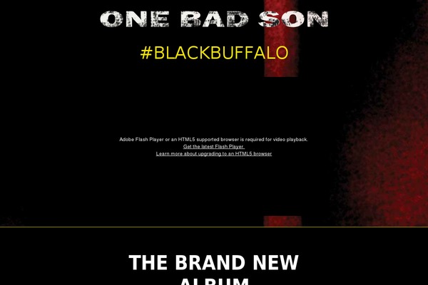 onebadson.com site used Onebadson-2014