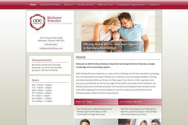 WordPress website example screenshot
