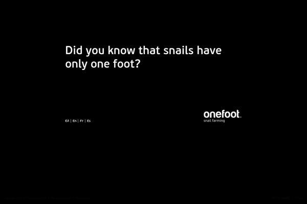 onefoot.gr site used Onefoot