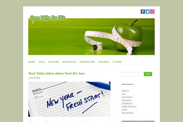 Sahifa theme site design template sample