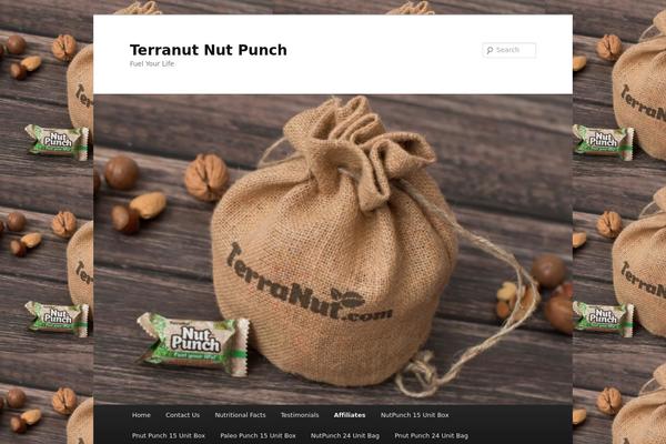 Twenty Eleven theme site design template sample