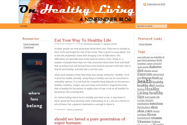 WordPress website example screenshot