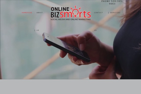 onlinebizsmarts.com site used Smartgroupaz-2