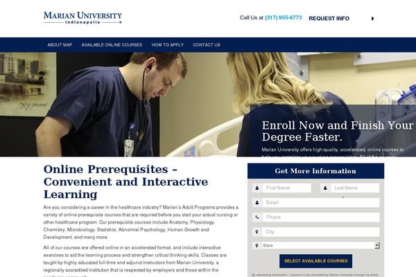 WordPress website example screenshot