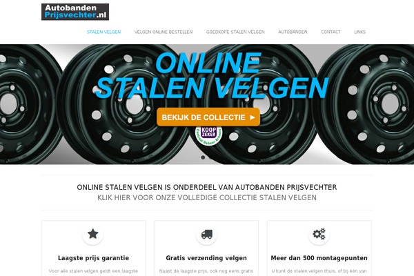 WordPress website example screenshot