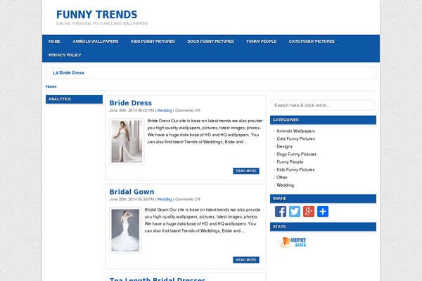 WPMagician WordPress theme, websites list used WPMagician theme WPMagician theme websites examples