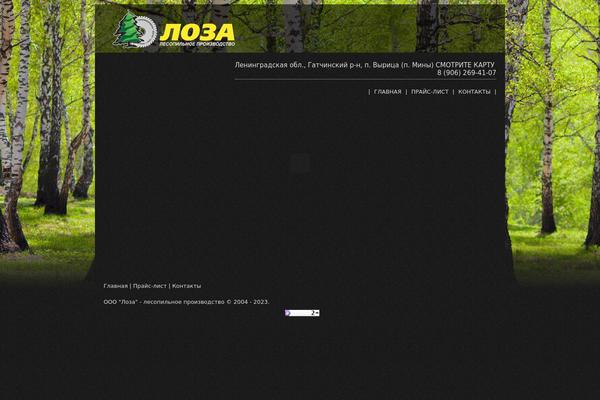 WordPress website example screenshot