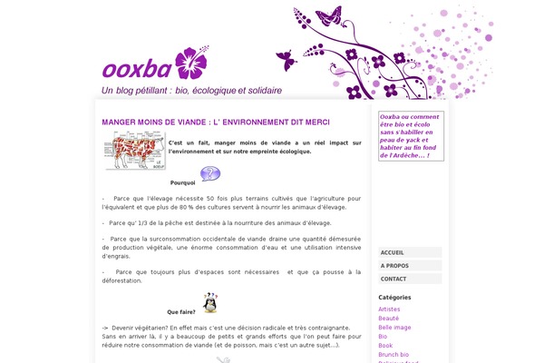 ooxba.com site used Ooxba_theme