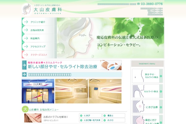 ooyamahifuka.com site used Ooyamahifuka_cms