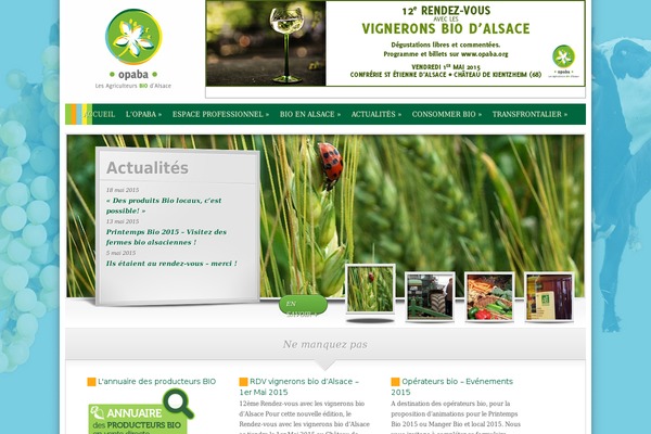 opaba.org site used Opaba1