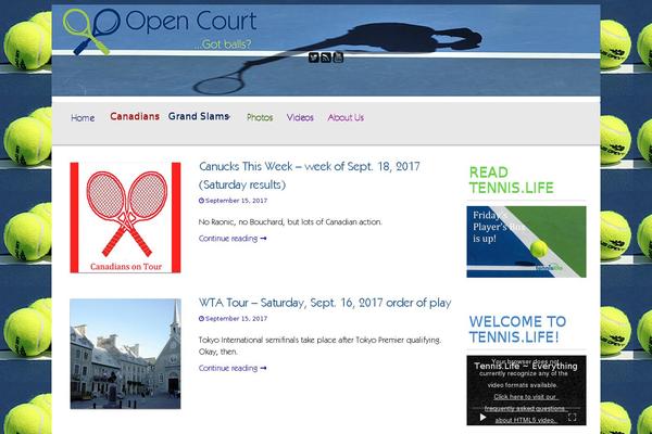 opencourt.ca site used Newsium-pro