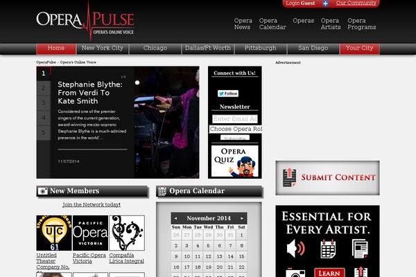 newoperapulse theme websites examples