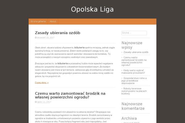 opolskaliga.pl site used Magazine-point