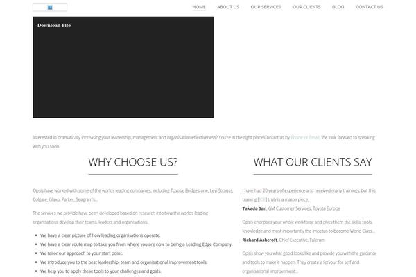 opsisconsulting.com site used Theme50490