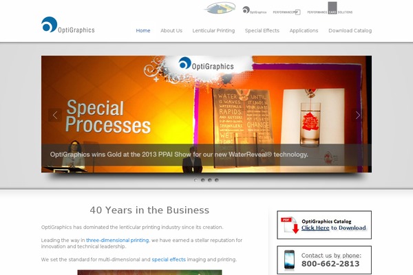 WordPress website example screenshot