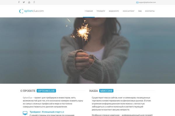 WordPress website example screenshot