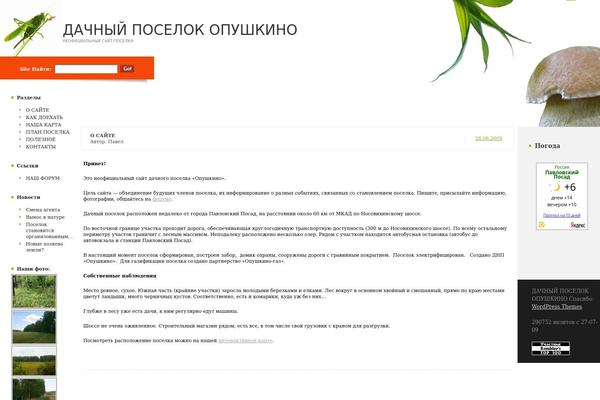 WordPress website example screenshot