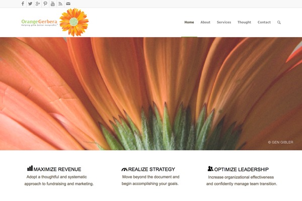 Enfold theme site design template sample