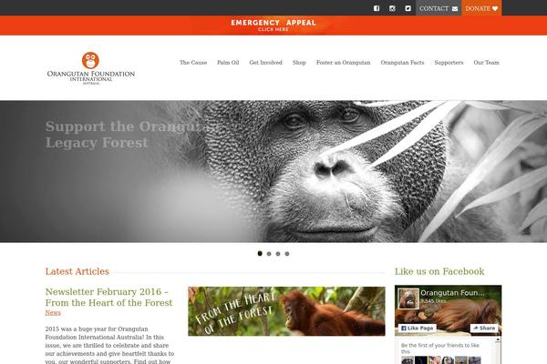 orangutanfoundation.org.au site used Charitas Child