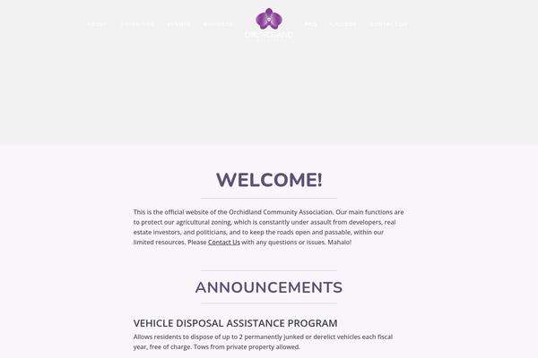 WordPress website example screenshot