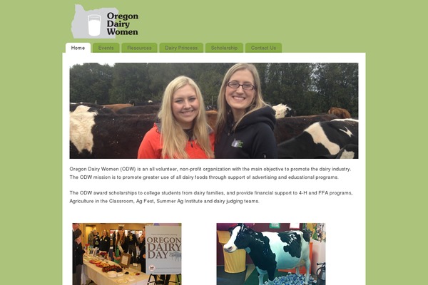 WordPress website example screenshot