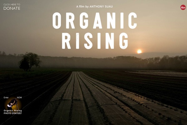organicrisingfilm.com site used Organic_rising