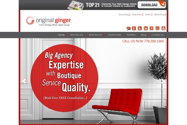 originalginger.com site used Monochrome-pro