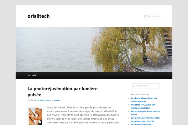 Twenty Eleven theme site design template sample