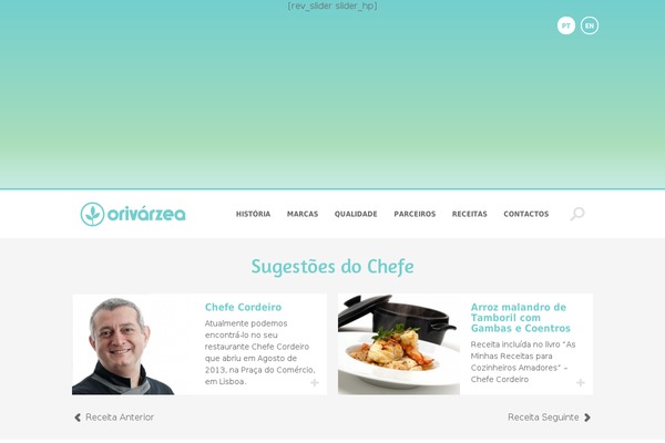 orivarzea.pt site used Orivarzea