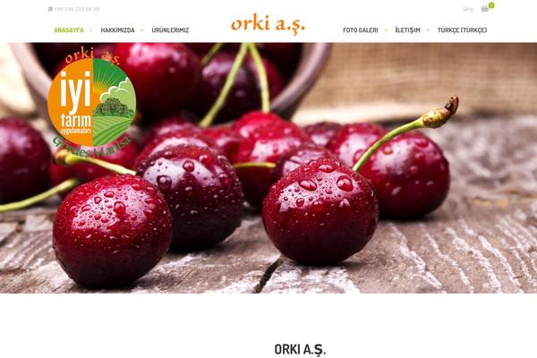 orkiorganik.com site used Amy-organic