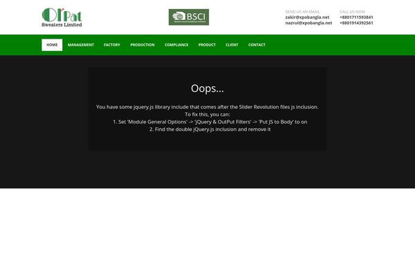WordPress website example screenshot