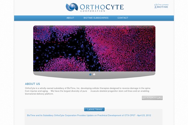 orthocyte.com site used Orthocyte