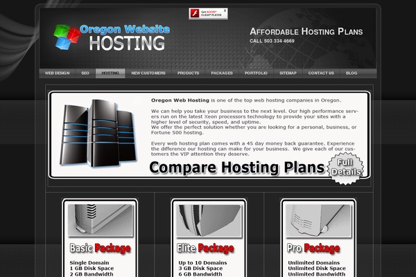 WordPress website example screenshot