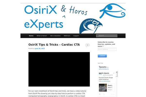 osirixexperts.com site used Twenty Eleven