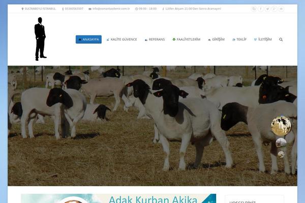 The7 theme site design template sample