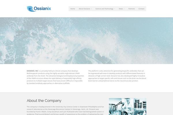 Metrolium Child theme site design template sample