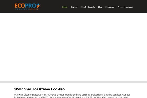 ottawaecopro.com site used Worker