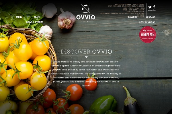 ovvio theme websites examples