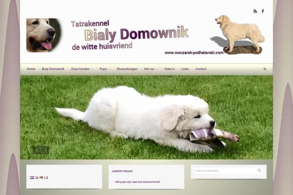 Site using Cyclone Slider 2 plugin