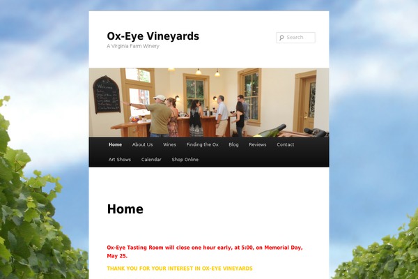 Twenty Eleven theme site design template sample