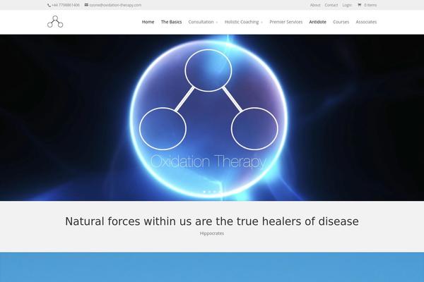Divi theme site design template sample