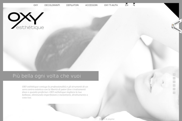 OXY theme site design template sample