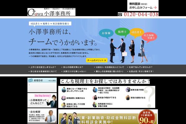 ozawa theme websites examples